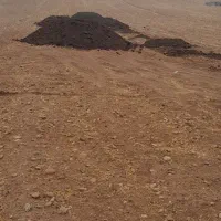 فروش کود حیوانی عالی|خدمات باغبانی و درختکاری|کنگاور, |دیوار