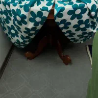 روکش مبل ومیز