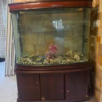 آکواریم