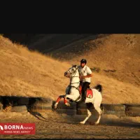 اسب سواری بصورت گشت آزاد|اسب و تجهیزات اسب‌سواری|خمینی‌شهر, |دیوار