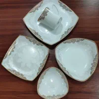 سرویس ۲۴ نفره پردیس