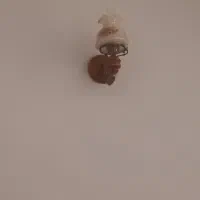 ست لوستر  آنتیک وارداتی