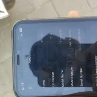 iphone 11|موبایل|نیشابور, تختی|دیوار