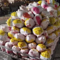 عرضه مستقیم مرغ بسته بندی روز ران شنسل بال و پاچین