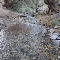 سیم کارت