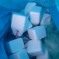 تور گریزی شماره ۲۸