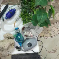 آکواریوم سالم|ماهی|تهران, قصر فیروزه ۱|دیوار