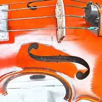 ویولن|ویولن|تهران, صادقیه|دیوار