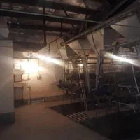 مرغداری تخم گذار