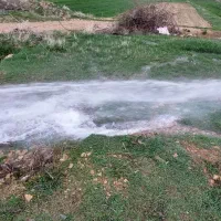 اجاره ۱ هکتار ونیم زمین کشاورزی لولهکشی باآب چشمه|اجارهٔ دفتر صنعتی، کشاورزی، تجاری|دینور, |دیوار