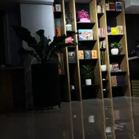 نیروی خانم
