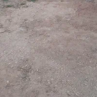 زمین مزروعی پشت دانشگاه پیام نور