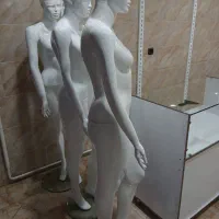 مانکن پویا/بالا تنه پلاستیکی|فروشگاه و مغازه|هشترود, |دیوار