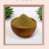 کسب و کار خانگی