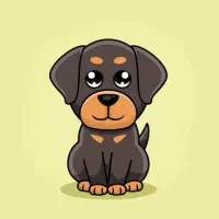 یک سگ خونگی پیدا شده محدوده فریدونکنار