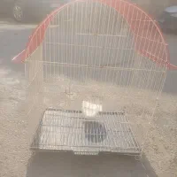 قفس|لوازم جانبی حیوانات|ارومیه, |دیوار