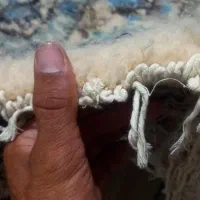 فرش دست باف محلی|فرش|مشهد, وکیل‌آباد|دیوار