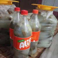 خیارشور|خوردنی و آشامیدنی|خان ببین, |دیوار