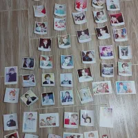 پک ۵۱ عددی پولایرود