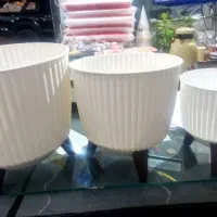 فروش پلاسکو|ظروف نگهدارنده، پلاستیکی، یکبارمصرف|یاسوج, |دیوار