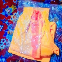 شوش
