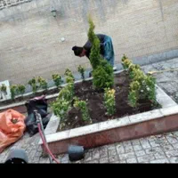 باغبانی و تیلر زنی صفر تا صد