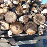 خریدار انواع چوب ترو خوشک