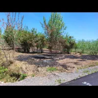 فروش زمین داخل طرح|فروش زمین و ملک کلنگی|رودبنه, |دیوار