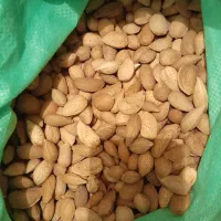 گردو کاغذی منشاد|خوردنی و آشامیدنی|یزد, |دیوار