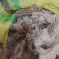 از صبح تا ۱۰ شب زنگ بزنید