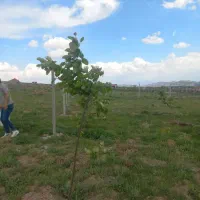 زمین به متراژ ۱۰۰۰ متر در اسپران