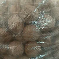 گردو ایرانی محصول امسال