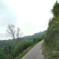 زمین ۲۴۰۰ متر / در ارتفاعات منطقه/قبل از تاکام|فروش زمین و ملک کلنگی|پایین هولار, |دیوار