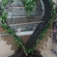 قفس زیبا جهت نگهداری پرنده