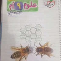 کتابهای کمک اموزشی اول و کتابهای تیزهوشان نهم|کتاب و مجله آموزشی|مشهد, هفت تیر (حافظ)|دیوار