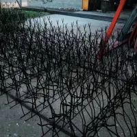 خدمات ساختمانی (کیفیت و دوام)|خدمات پیشه و مهارت|بوشهر, |دیوار