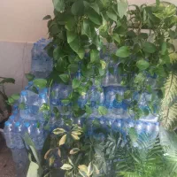 گل طبیعی|گل و گیاه طبیعی|شهرکرد, |دیوار