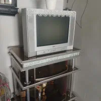 تلوزیون