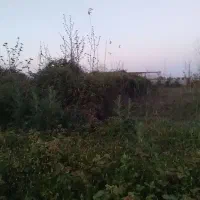زمین-سند-دار-روستایی-براصلی