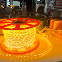 نورمخفی ریسه شلنگی انبه ای