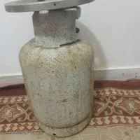 پیک نیک دوقلو