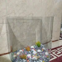 آکواریوم شیشه خم
