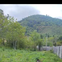 فروش زمین 350 متری ویوی زیبا (مالک)
