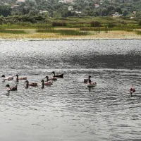 زمین نزدیک لاهیجان ۳ بر ویو ابدی دریاچه|فروش زمین و ملک کلنگی|لاهیجان, کوی خزر|دیوار