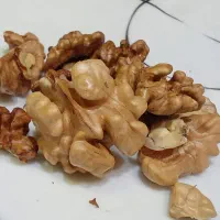 گردو باپوست