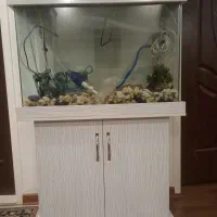 آکواریوم شیشه خم به همراه کمد