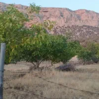 فروش باغ طولاب