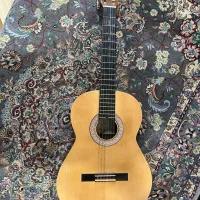 گیتار آگرین a200