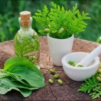 پکیج گیاهی ترک مخدر