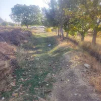 باغ انگور|فروش دفتر صنعتی، کشاورزی، تجاری|ملایر, |دیوار